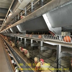 Manufacturers Exporters and Wholesale Suppliers of poultry supplies Jining City 