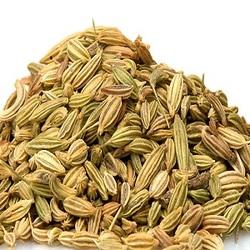 Manufacturers Exporters and Wholesale Suppliers of Fennel Seed Pathanamthitta Kerala