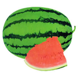 Manufacturers Exporters and Wholesale Suppliers of Watermelon Maharaja Surat Gujarat