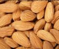 Manufacturers Exporters and Wholesale Suppliers of Almond Kernels Badaam Grade A Karachi 