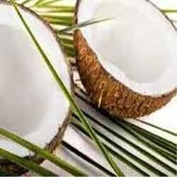 Manufacturers Exporters and Wholesale Suppliers of Preserved Coconut Pollachi Coimbatore Tamil Nadu