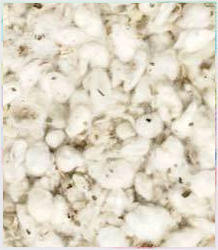 Raw Cotton Waste