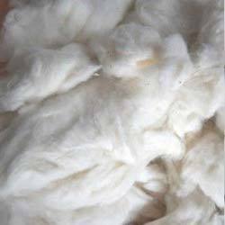Manufacturers Exporters and Wholesale Suppliers of Cotton Comber Noil Coimbatore Madhya Pradesh