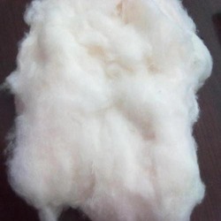 Manufacturers Exporters and Wholesale Suppliers of Cotton Fiber Chennai Tamil Nadu