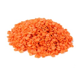 Manufacturers Exporters and Wholesale Suppliers of Masoor Lentils Chennai Tamil Nadu