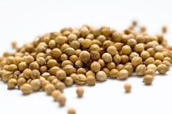 Manufacturers Exporters and Wholesale Suppliers of Coriander Seed kolkata West Bengal