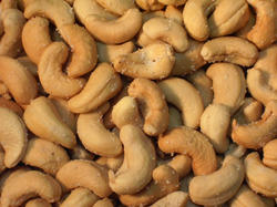 Manufacturers Exporters and Wholesale Suppliers of Salted Cashews Surat Gujrat