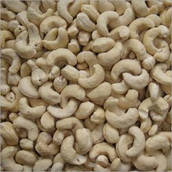 Manufacturers Exporters and Wholesale Suppliers of Finished Cashew Surat Gujrat