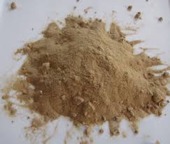 Manufacturers Exporters and Wholesale Suppliers of Amla Powder Faridabad Haryana
