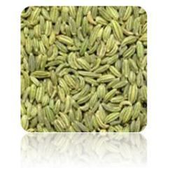 Manufacturers Exporters and Wholesale Suppliers of Fennel Seeds Ahmedabad Gujarat