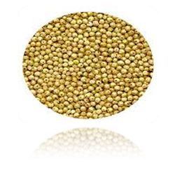 Manufacturers Exporters and Wholesale Suppliers of Millet Ahmedabad Gujarat