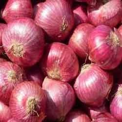 Manufacturers Exporters and Wholesale Suppliers of Onion Ludhiana Punjab