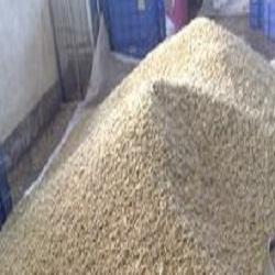 Manufacturers Exporters and Wholesale Suppliers of Cashew Nut MUMBAI Maharashtra