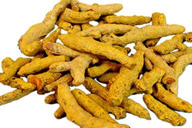 Manufacturers Exporters and Wholesale Suppliers of Turmeric Kochin Kerala