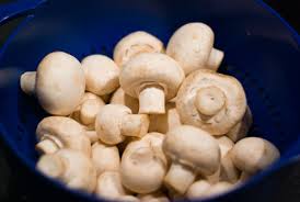 Manufacturers Exporters and Wholesale Suppliers of Mushroom Amritsar Punjab