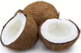 Manufacturers Exporters and Wholesale Suppliers of Coconut Madurai Tamil Nadu