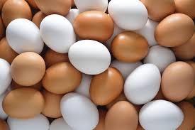 Manufacturers Exporters and Wholesale Suppliers of Eggs Coimbatore Tamil Nadu