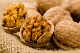 Manufacturers Exporters and Wholesale Suppliers of Walnuts Srinager Jammu & Kashmir