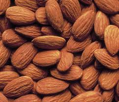 Manufacturers Exporters and Wholesale Suppliers of Almonds Srinager Jammu & Kashmir