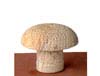 Manufacturers Exporters and Wholesale Suppliers of Mushroom Distt.Dausa Rajasthan