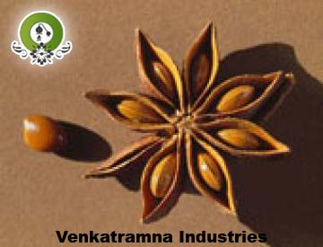 Manufacturers Exporters and Wholesale Suppliers of Anise Oil Kannauj Uttar Pradesh
