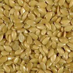 Manufacturers Exporters and Wholesale Suppliers of Flax Seed Navi Mumbai Maharashtra
