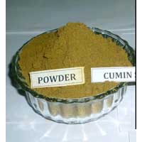 Manufacturers Exporters and Wholesale Suppliers of Cumin Powder Kapadwanj Gujarat