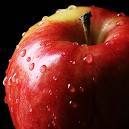 Manufacturers Exporters and Wholesale Suppliers of Apple mumbai Maharashtra