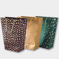 Manufacturers Exporters and Wholesale Suppliers of Paper Bucket Bags RAJAM Andhra Pradesh