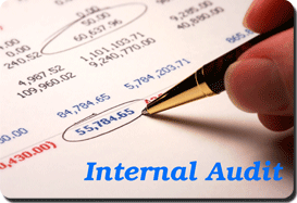 Manufacturers Exporters and Wholesale Suppliers of Internal Audit Jaipur Rajasthan