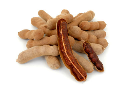 Manufacturers Exporters and Wholesale Suppliers of Fresh Tamarind HOSUR Tamil Nadu