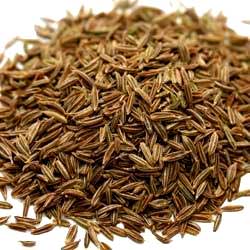 Manufacturers Exporters and Wholesale Suppliers of Cumin Seeds Raipur Chhattisgarh