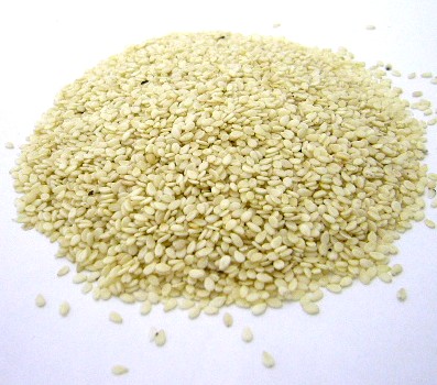 Manufacturers Exporters and Wholesale Suppliers of Sesame Seeds Sabarkantha Gujarat
