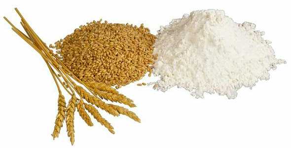 Manufacturers Exporters and Wholesale Suppliers of Wheat Flour Sabarkantha Gujarat
