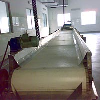 Manufacturers Exporters and Wholesale Suppliers of Inspection Conveyor Ambala Haryana