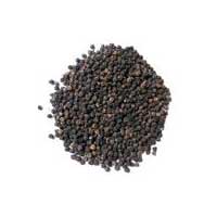 Manufacturers Exporters and Wholesale Suppliers of Black Pepper Seeds Nagaon Assam