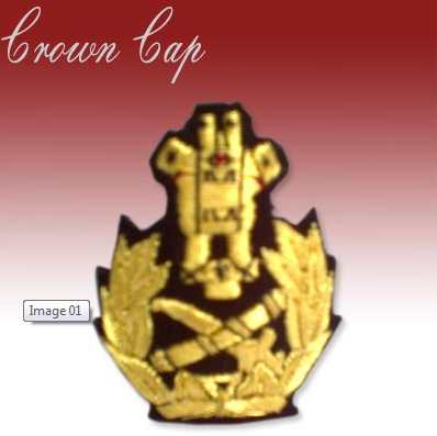Manufacturers Exporters and Wholesale Suppliers of Embroidered Chest Badges Meerut Uttar Pradesh