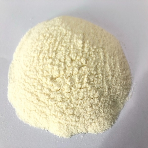 Manufacturers Exporters and Wholesale Suppliers of Instant Mango Milk Powder Drinks Bangkok 