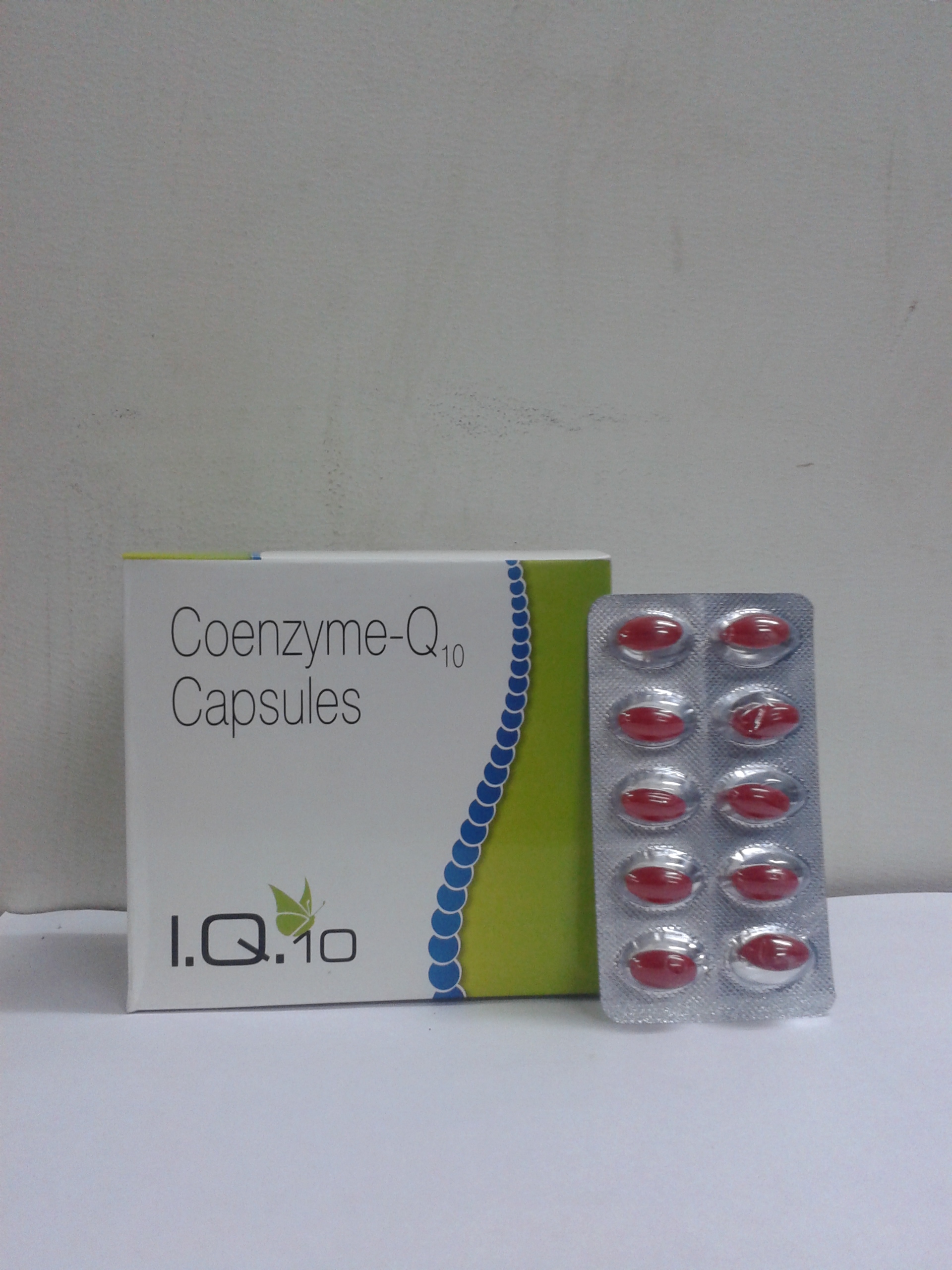 Manufacturers Exporters and Wholesale Suppliers of I Q 10 Chandigarh Punjab