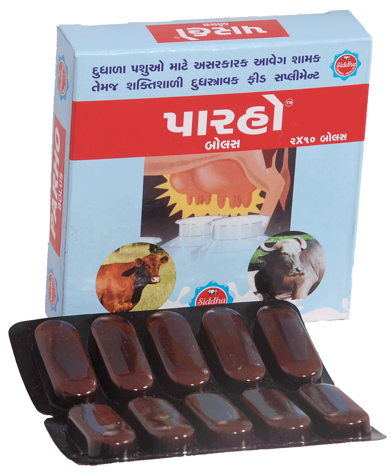 Manufacturers Exporters and Wholesale Suppliers of Parho Bolus Patan Gujarat