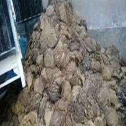Manufacturers Exporters and Wholesale Suppliers of Dried Buffalo Omasum Kolkata West Bengal