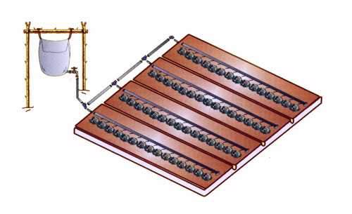 Manufacturers Exporters and Wholesale Suppliers of Family Nutrition Kit hyderabad Andhra Pradesh