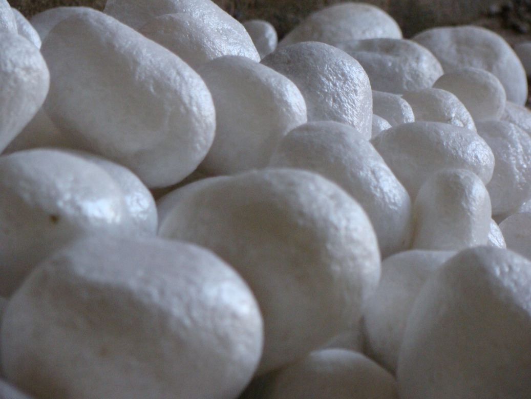 Manufacturers Exporters and Wholesale Suppliers of White Pebbles Madanganj-Kishangarh Rajasthan