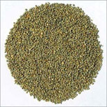 Manufacturers Exporters and Wholesale Suppliers of Millets Palanpur Gujarat