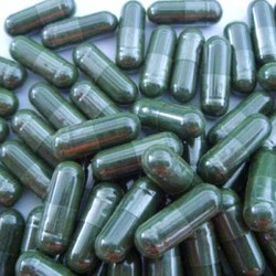 Manufacturers Exporters and Wholesale Suppliers of Spirulina Capsules Valsad Gujarat