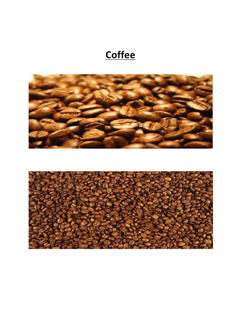 Manufacturers Exporters and Wholesale Suppliers of Coffee Bangalore Karnataka