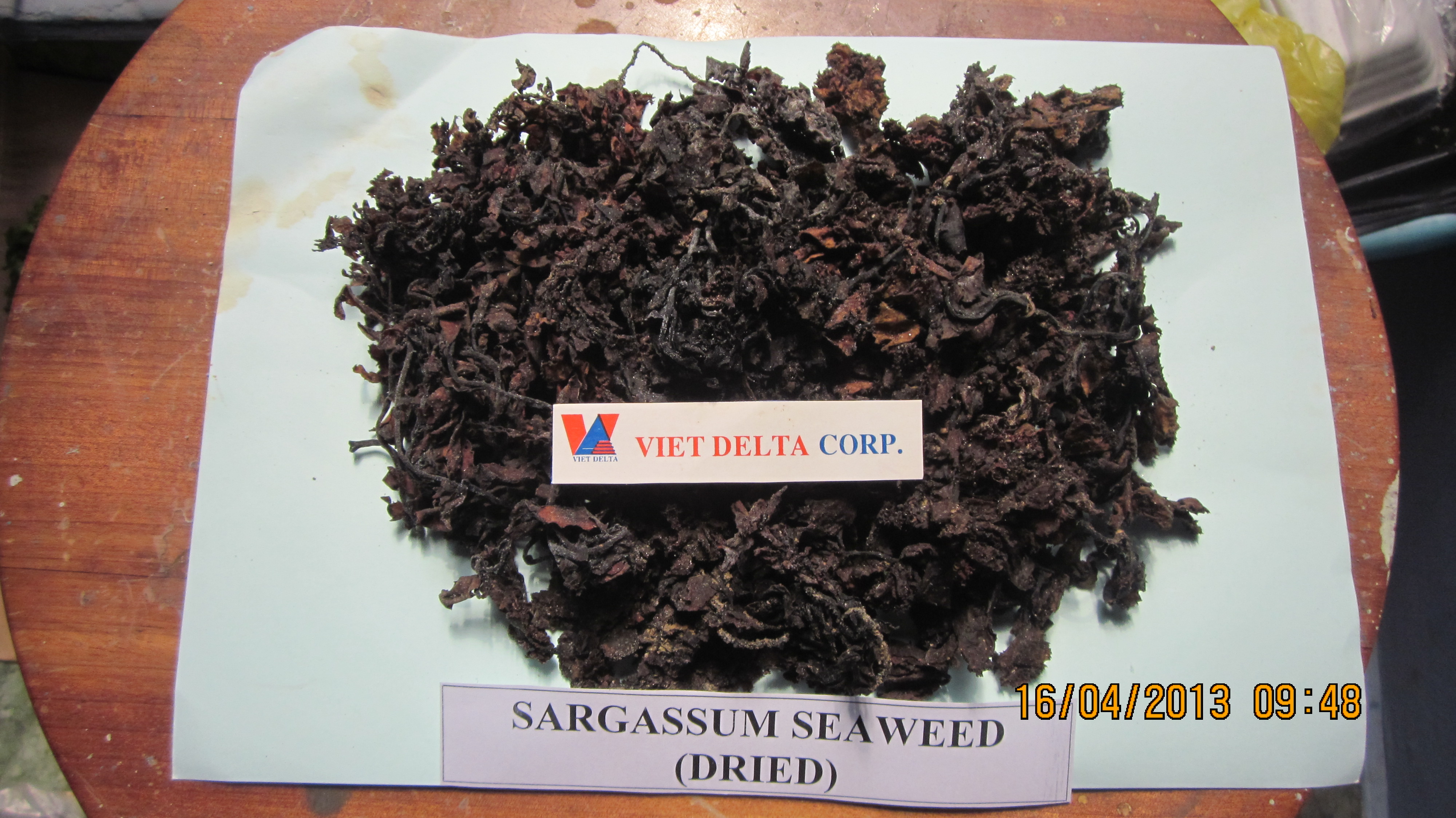 Manufacturers Exporters and Wholesale Suppliers of Sargassum Ho Chi Minh 