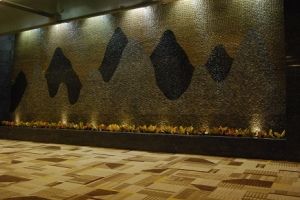 Manufacturers Exporters and Wholesale Suppliers of Wall Fall Delhi Delhi