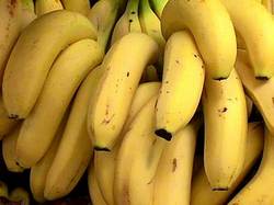 Manufacturers Exporters and Wholesale Suppliers of Yellow Banana namakkl Tamil Nadu
