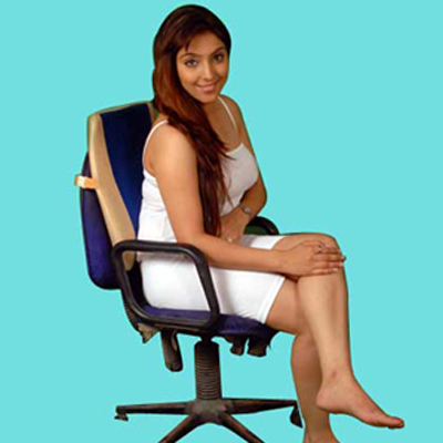 Manufacturers Exporters and Wholesale Suppliers of Backrest New delhi Delhi